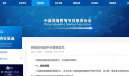 视频平台,内容创新与用户粘性解析