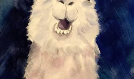 草泥玛视频,网络热梗背后的文化现象解析